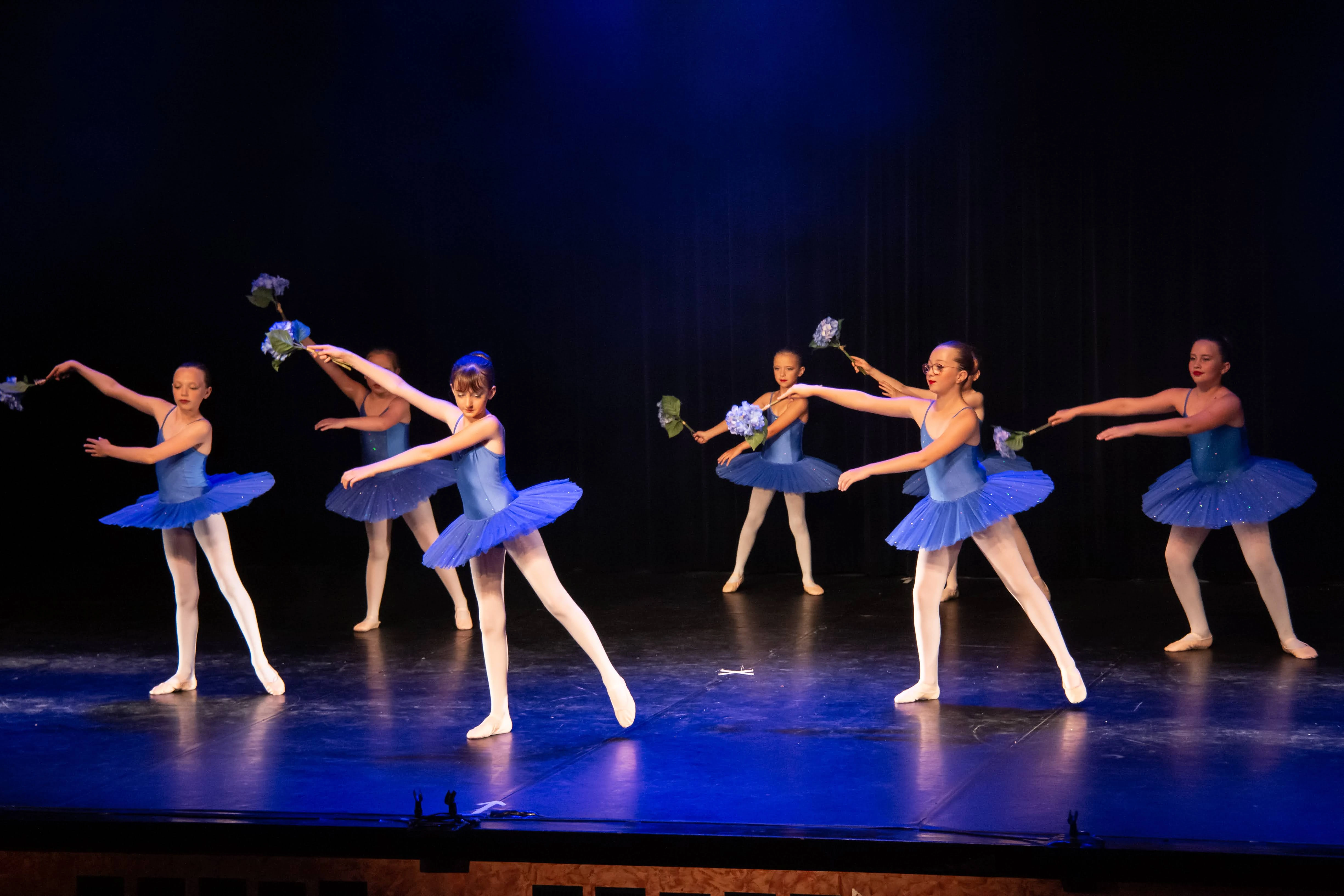 Cours de danse classique