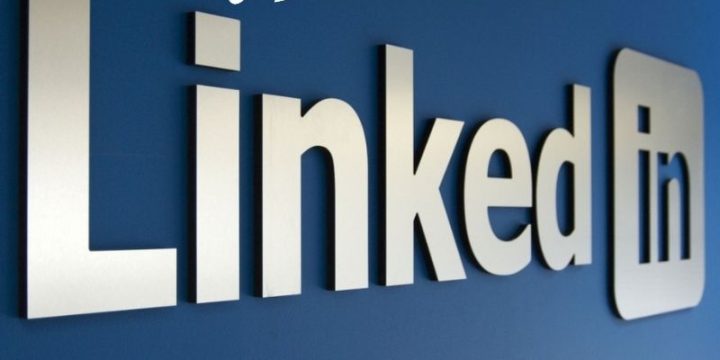 La page Domino sur LinkedIn